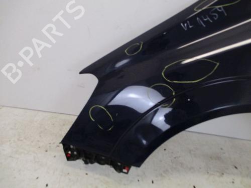 Left front fenders OPEL ZAFIRA / ZAFIRA FAMILY B (A05) 1.9 CDTI (M75) | BP18800829C41 