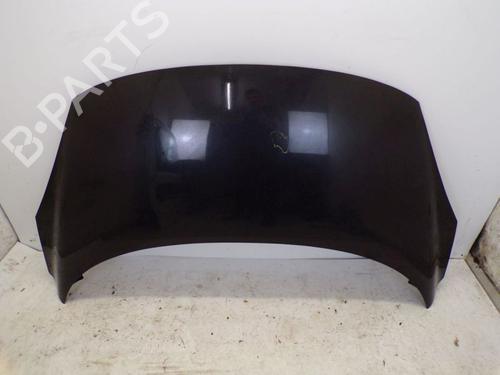 Used Hood FIAT DOBLO Cargo (263_) 1.3 D Multijet (90 hp) 29094667