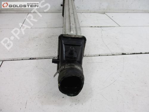 Intercooler FIAT BRAVO II (198_) 1.6 D Multijet (198AXL1B) | BP18788736M30 