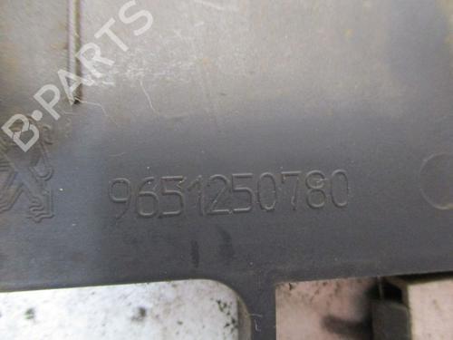 Fuel flap PEUGEOT 1007 (KM_) 1.4 | BP29089077C131 