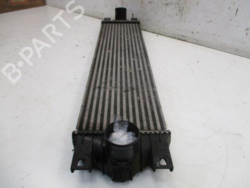 Intercooler NISSAN INTERSTAR Van (X70) dCi 100 | BP37125228M30 - Image 6