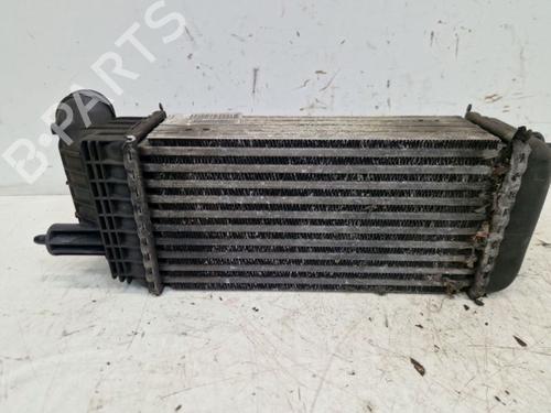 Intercooler PEUGEOT EXPERT Van (VF3A_, VF3U_, VF3X_) 1.6 HDi 90 8V | BP29099985M30 