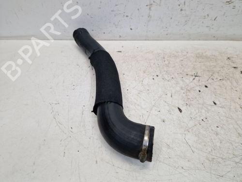 Pipe ALFA ROMEO GT (937_) 1.9 JTD (937CXN1B) | BP29099960M125
