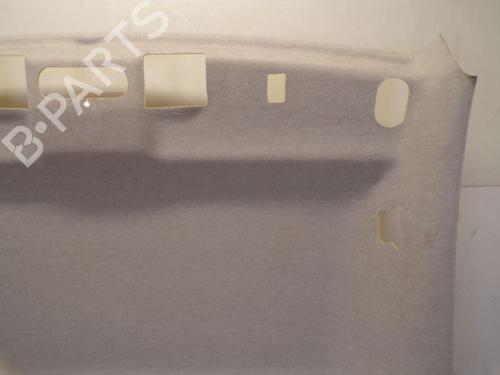 Interior roof RENAULT KANGOO / GRAND KANGOO II (KW0/1_) 1.5 dCi 90 (KW05, KW08, KW0G, KW11) | BP29091913I12 