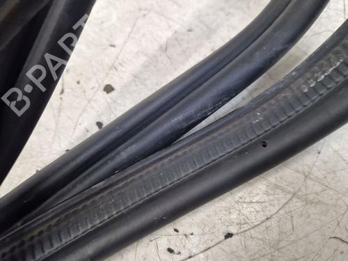 Rubber door seal RENAULT MEGANE E-TECH SUV EV60 (BNJ1) | BP29100783C142 