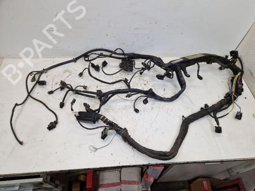 Used Wiring harness MERCEDES-BENZ VITO Bus (W639) 110 CDI (639.701, 639.703, 639.705) (95 hp) 29171324