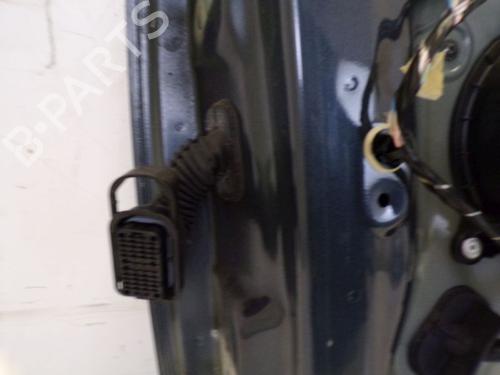 Right front door RENAULT ZOE (BFM_) ZOE | BP29099082C3 