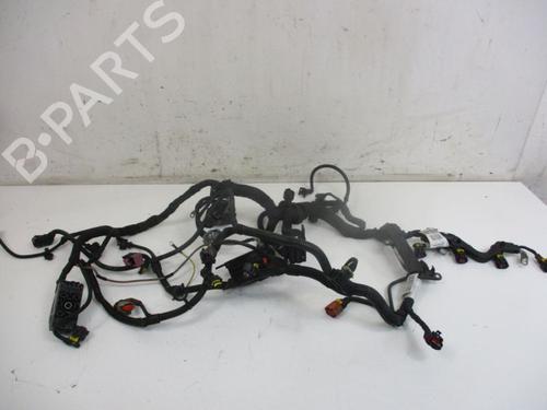 Used Wiring harness OPEL INSIGNIA A (G09) 2.0 CDTI (68) (160 hp) 30085003