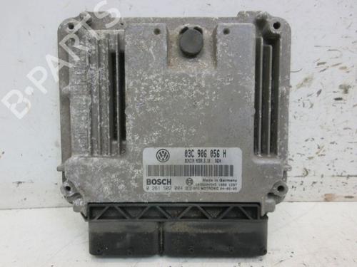 Used Engine control unit (ECU) VW GOLF V (1K1) 1.4 FSI (90 hp) 29091909