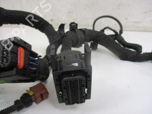 Wiring harness OPEL INSIGNIA A (G09) 2.0 CDTI (68) | BP30085003E16 