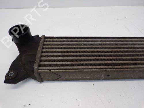 Intercooler SUZUKI SX4 (EY, GY) 1.9 DDiS (RW419D) | BP37130505M30  - Image 5