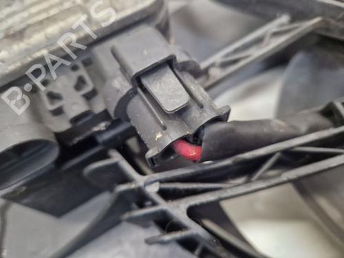 Fan FORD S-MAX (WA6) 2.0 TDCi | BP30794996M128 