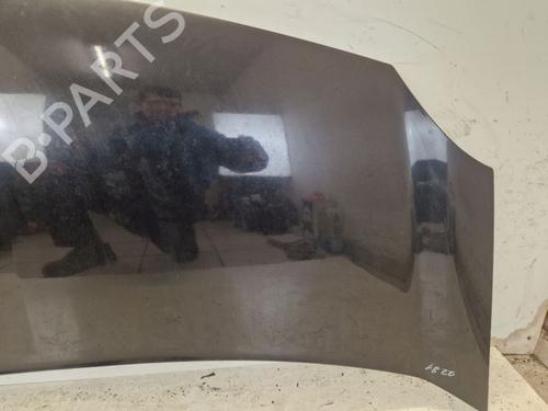 Hood RENAULT KANGOO Express (FW0/1_) 1.5 dCi 90 (FW0G, FW05, FW08, FW11) | BP29102441C1 