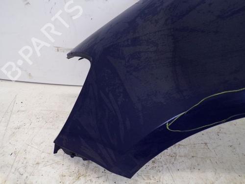 Left front fenders RENAULT CLIO III (BR0/1, CR0/1) 1.2 16V (BR02, BR0J, BR11, CR02, CR0J, CR11) | BP18798903C41 