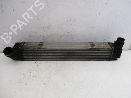 Used Intercooler RENAULT GRAND SCÉNIC III (JZ0/1_) 2.0 dCi (JZ0Y, JZ26) (150 hp) 25013548