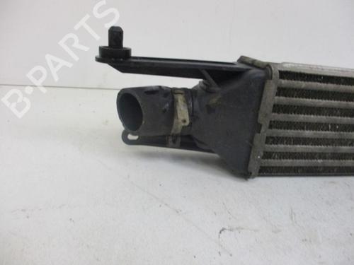 Intercooler FIAT GRANDE PUNTO (199_) 1.3 D Multijet | BP37116606M30 - Image 2