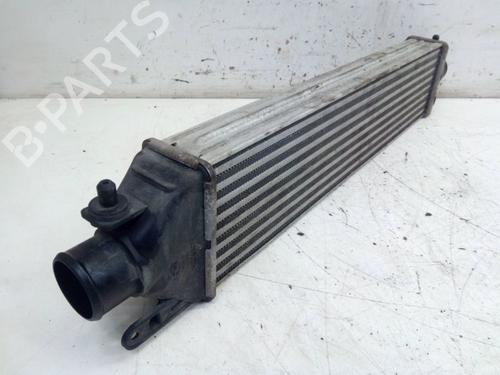 Intercooler FIAT BRAVO II (198_) 1.4 T-Jet (198AXG1B) | BP25944952M30 