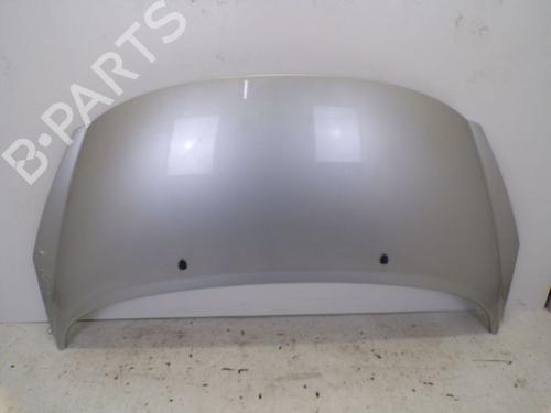 Used Hood PEUGEOT 207 CC (WD_) 1.6 16V (120 hp) 18800903