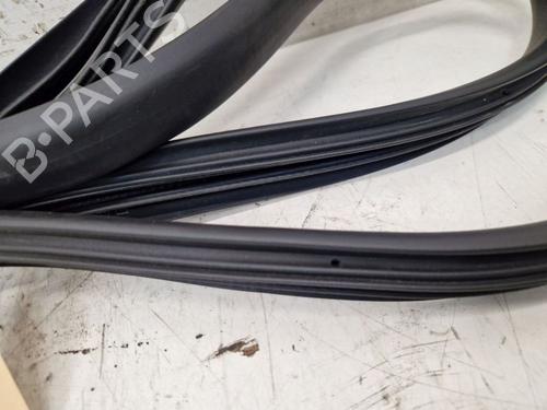 Rubber door seal DACIA SANDERO II 1.0 SCe 75 (B8JC, B8JD, B8NC) | BP29105596C142 