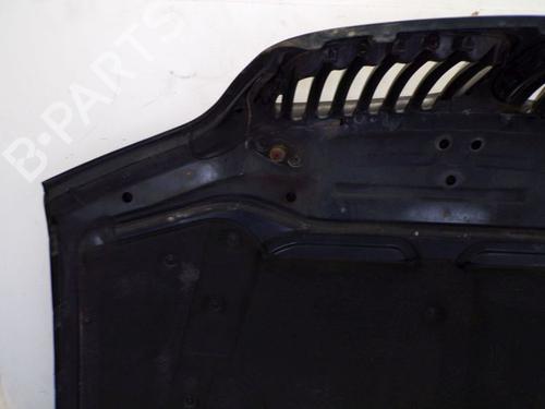 Hood BMW X5 (E53) 4.4 i | BP29090715C1 