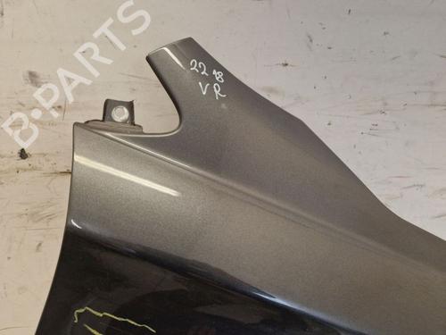 Right front fenders CITROËN C4 II (NC_) 1.6 VTi 120 (NC5FS0, NC5FS9) | BP30669002C42