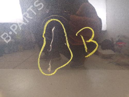 Left rear door RENAULT ZOE (BFM_) ZOE | BP29098614C4 
