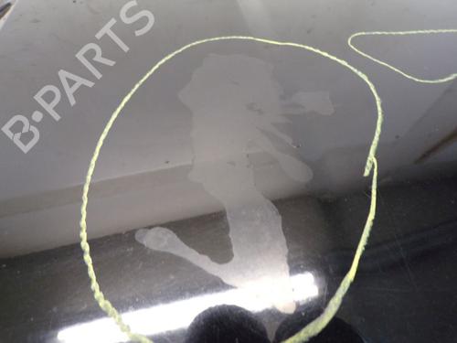 Hood SMART FORFOUR (454) 1.3 (454.031) | BP29101119C1 