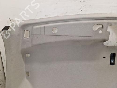 Tetto interno FORD TRANSIT V363 Van (FCD, FDD) 2.0 EcoBlue | BP30578639I12