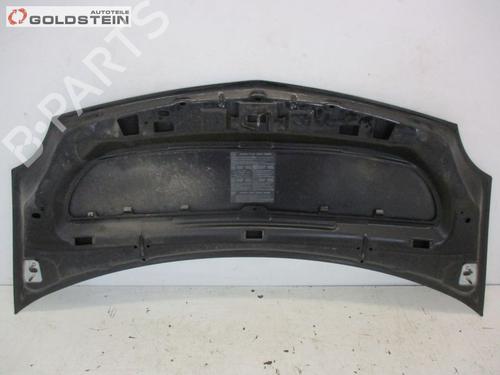 Hood RENAULT KANGOO / GRAND KANGOO II (KW0/1_) 1.5 dCi 105 (KW0F) | BP19121438C1 