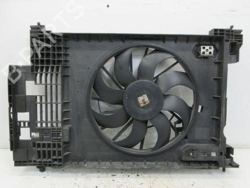 Used Fan RENAULT MEGANE II Coupé-Cabriolet (EM0/1_) 2.0 dCi (150 hp) 29089906