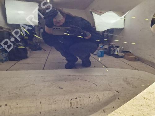 Left rear door DACIA SANDERO II 1.2 | BP31702290C4 