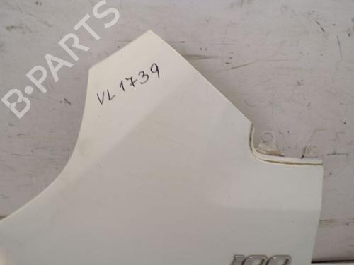 Left front fenders FIAT DUCATO Van (250_) 100 Multijet 2,2 D | BP19291876C41 