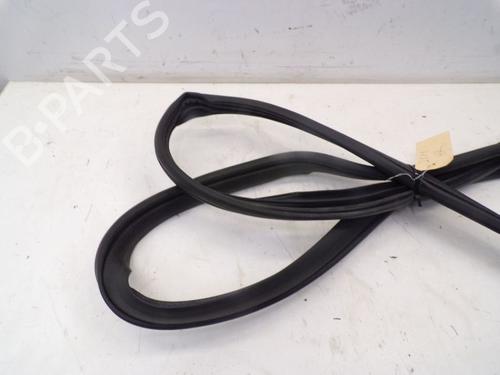 Rubber door seal CHRYSLER GRAND VOYAGER V (RT) 3.6 | BP29097459C142 