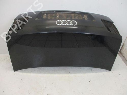 Bagklap CC/Kombi-Coupé AUDI A8 D3 (4E2, 4E8) 4.0 TDI quattro | BP18794879C6 