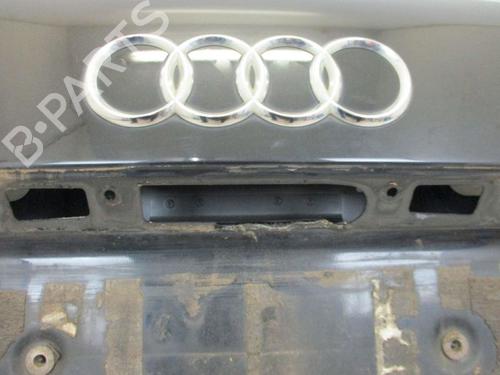 Bagklap CC/Kombi-Coupé AUDI A8 D3 (4E2, 4E8) 4.0 TDI quattro | BP18794879C6 