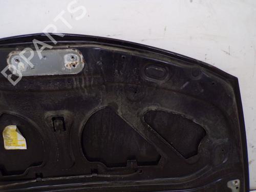 Hood RENAULT CLIO III (BR0/1, CR0/1) 1.2 16V (BR02, BR0J, BR11, CR02, CR0J, CR11) | BP29085813C1 