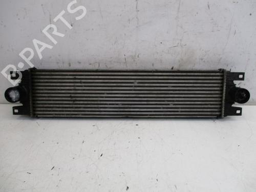 Intercooler NISSAN INTERSTAR Van (X70) dCi 100 | BP37125228M30 - Image 3