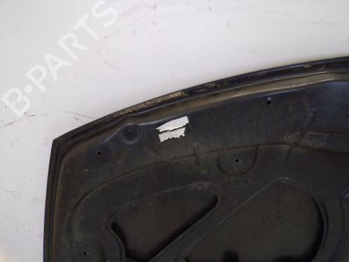 Hood RENAULT CLIO III (BR0/1, CR0/1) 1.6 16V (BR09, BR0T, CR09, CR0T) | BP29098067C1 