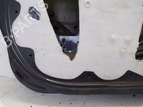 Left front door RENAULT CLIO III (BR0/1, CR0/1) 1.6 16V (BR09, BR0T, CR09, CR0T) | BP29098062C2 