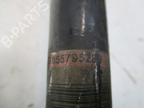 Anti roll bar PEUGEOT 407 (6D_) 2.0 HDi 135 (6DRHRH, 6DRHRE, 6DRHRG, 6DRHRJ) | BP19294896M96 