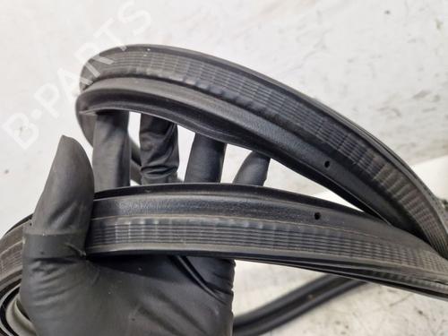 Rubber door seal FORD GALAXY II (WA6) 2.0 TDCi | BP29106104C142 