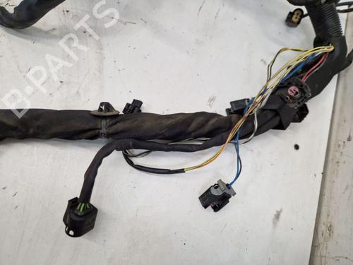 Wiring harness MERCEDES-BENZ VITO Bus (W639) 110 CDI (639.701, 639.703, 639.705) | BP29171324E16 