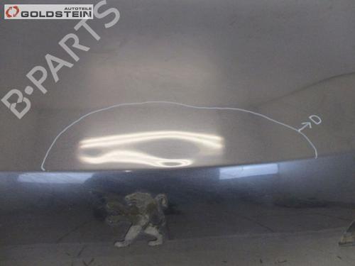 Tailgate PEUGEOT 607 (9D, 9U) 2.7 HDi 24V | BP18754859C6 