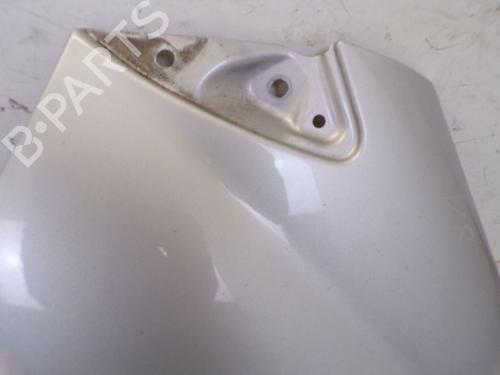 Left front fenders MERCEDES-BENZ A-CLASS (W169) A 160 CDI (169.006, 169.306) | BP29091596C41 