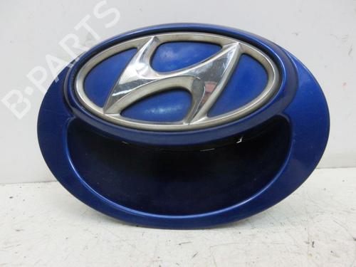 Used Interior roof handle HYUNDAI i20 I (PB, PBT) 1.4 (101 hp) 30668104