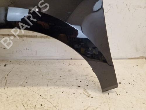 Left front fenders VW POLO V (6R1, 6C1) 1.2 | BP29586716C41