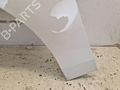 Left front fenders OPEL ZAFIRA TOURER C (P12) 1.6 CNG (75) | BP29104015C41 