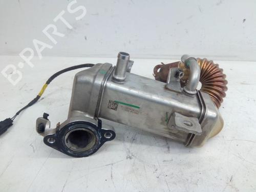 Egr RENAULT TRAFIC III Van (FG_) 1.6 dCi 95 (FGMJ, FGMR) | BP28174886M69 