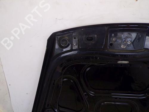 Hood VW TOUAREG (7LA, 7L6, 7L7) 3.2 V6 | BP29091312C1 