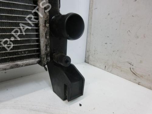 Water radiator MERCEDES-BENZ A-CLASS (W169) A 200 (169.033, 169.333) | BP29097554M31 
